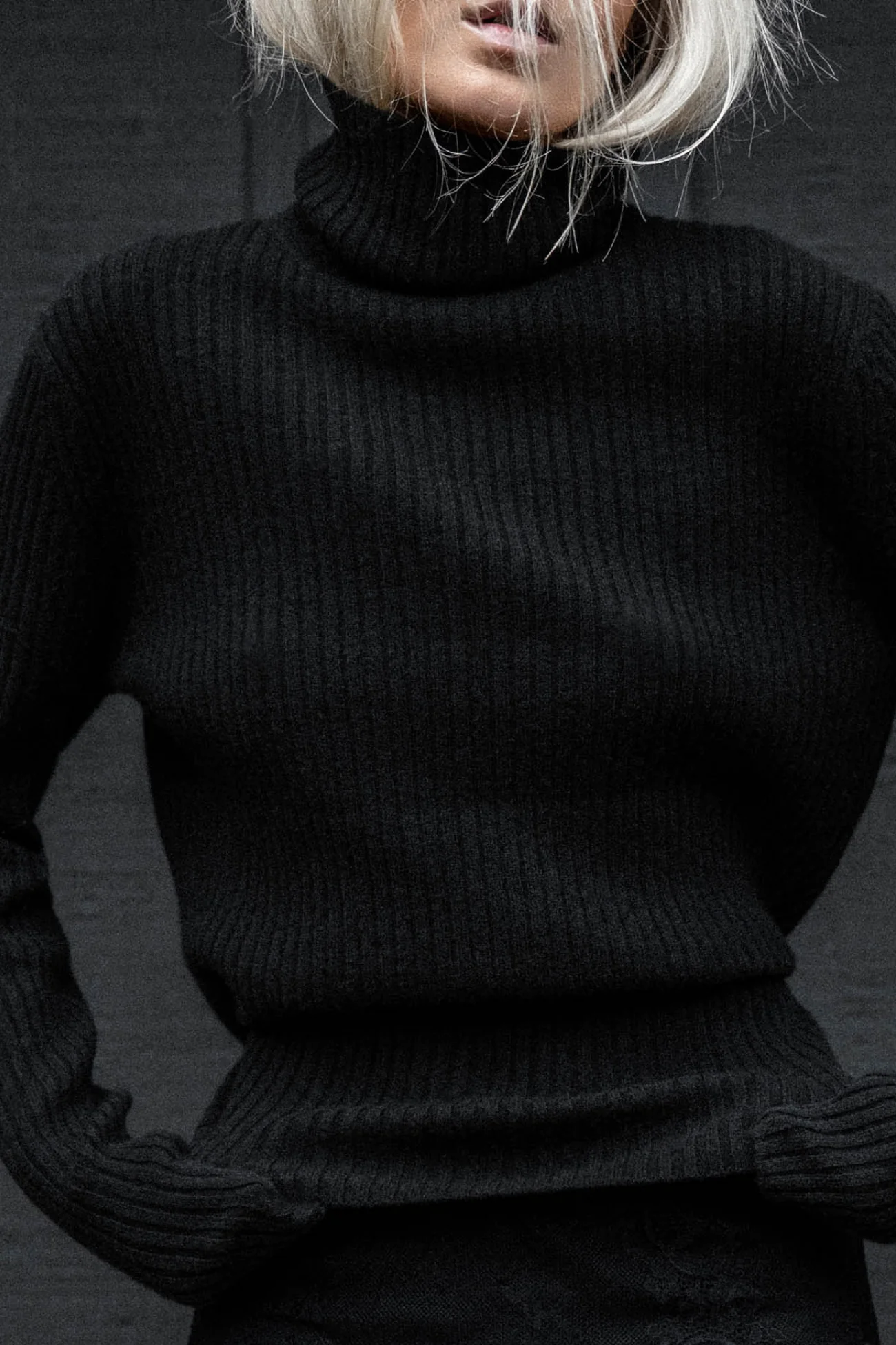 HELLY RIBBED TURTLENECK - Image 9